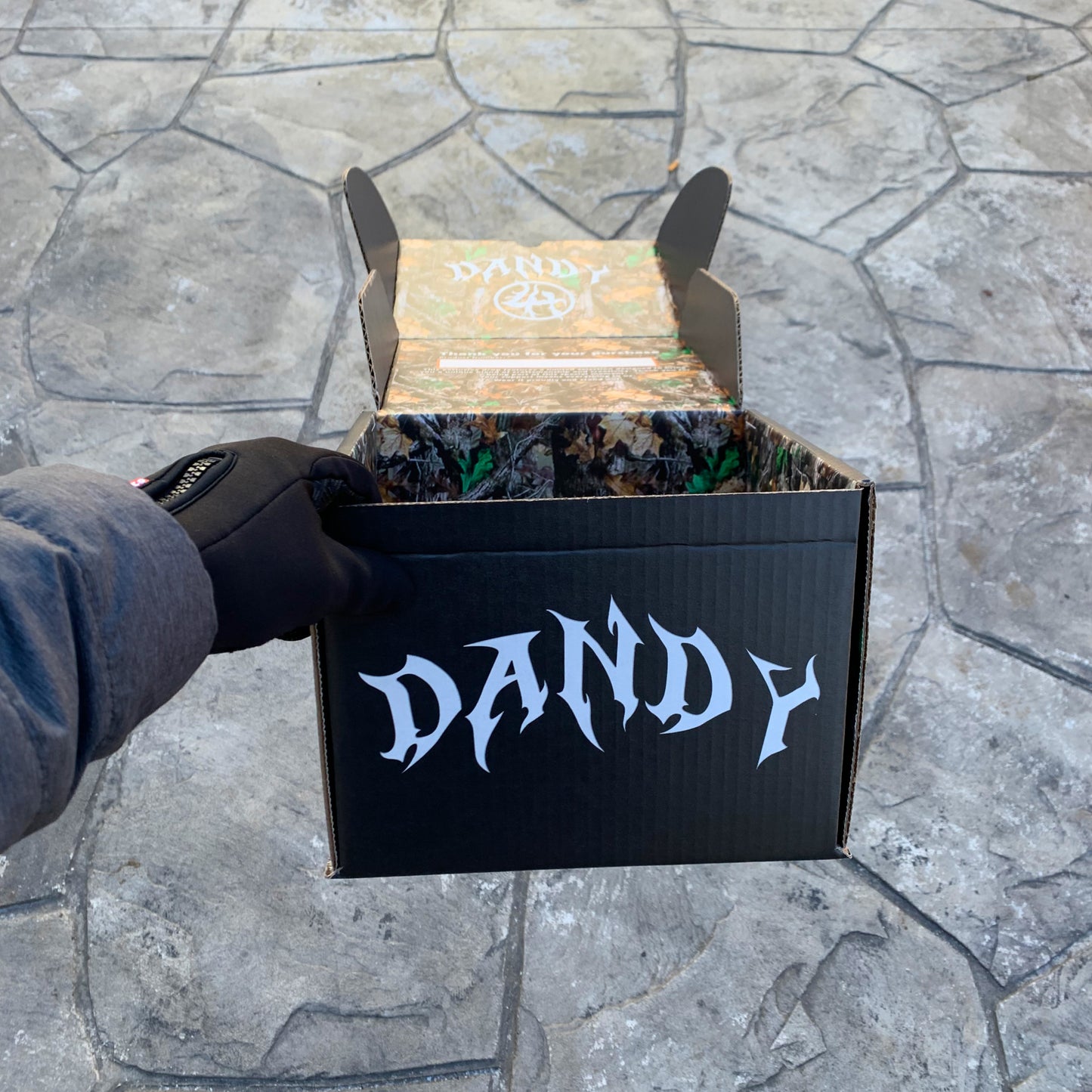 DANDY HATS X LOST HILLS